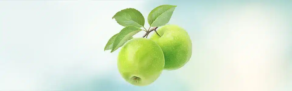 Two apples connected by a shared stem